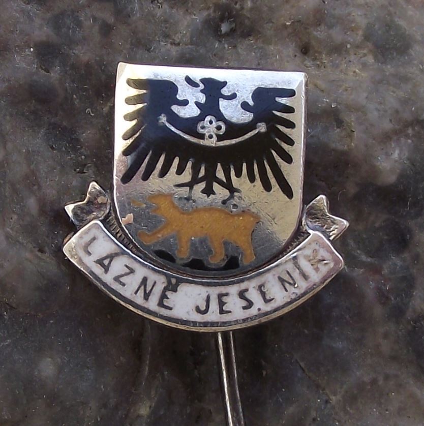 Antique Lazne Jesenik Black Eagle Brown Bear Official Coat of Arms Pin Badge - Badgecrazy
