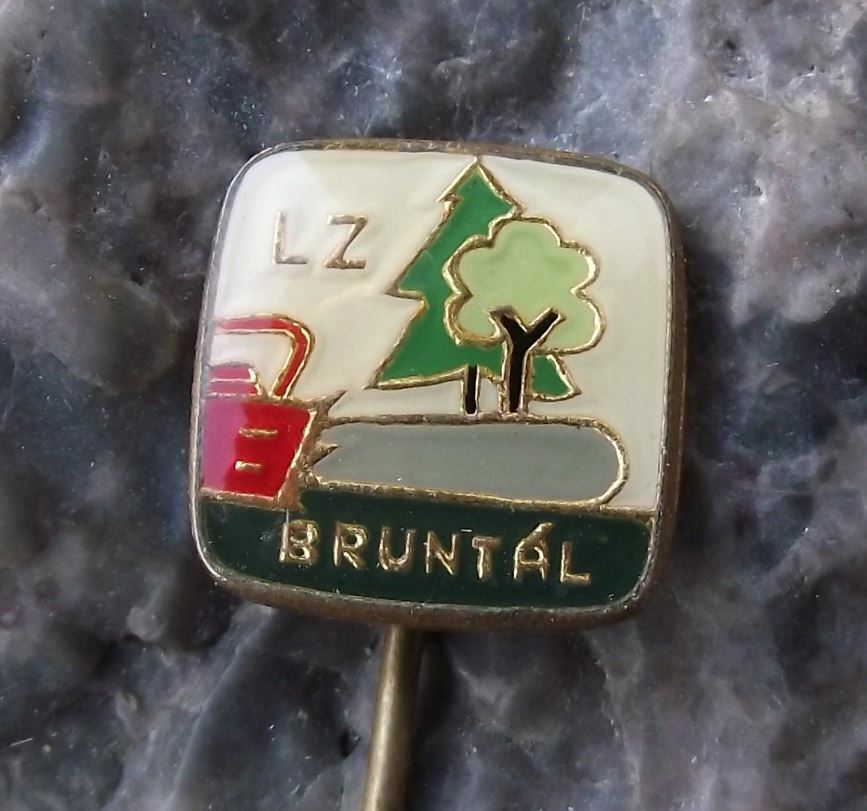 Antique Czechoslovakia State Forestry Commision LZ Bruntal Chainsaw Pin Badge - Badgecrazy