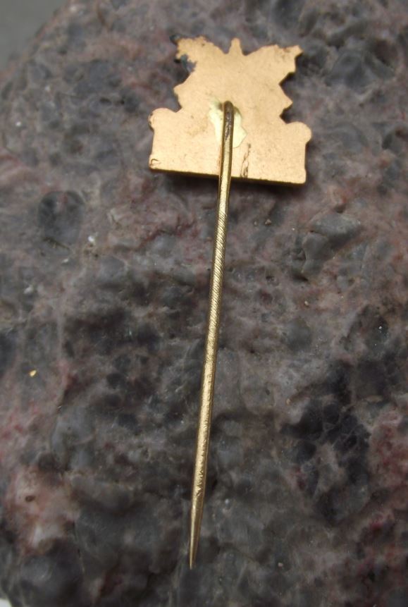 Antique Valtice Palace Czechoslovakia Tourist Souvenier Pin Badge - Badgecrazy