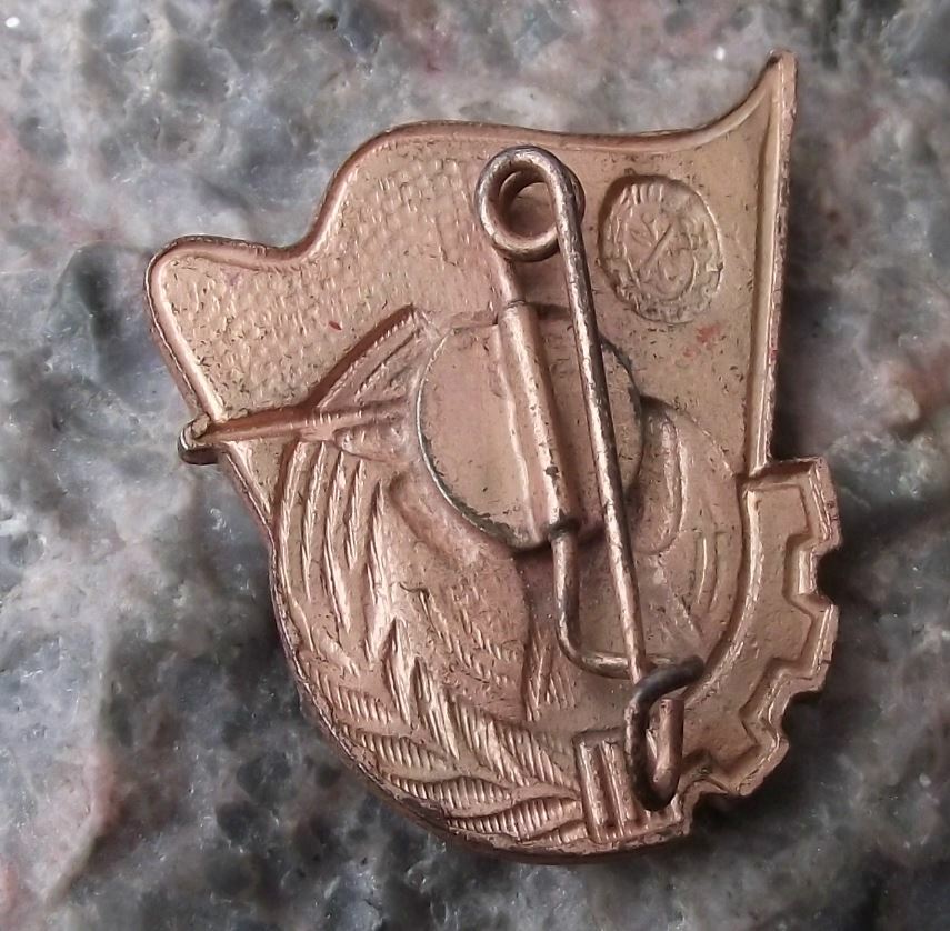 Gesellschaft Sport Technik East German DDR Peoples Army Rifle Shooting Pin Badge - Badgecrazy