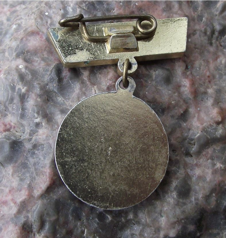 1959 FDJ Rostock Freie Deutsche Jugend DDR VI 6th Parliament Medal Pin Badge - Badgecrazy