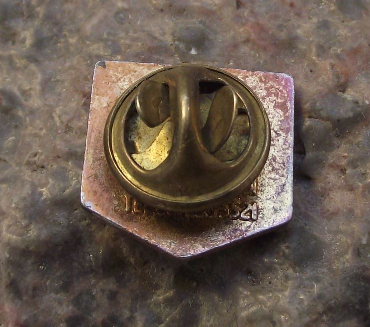 Antique GMB General Trade Union Association Unity is Strength Members Pin Badge - Badgecrazy