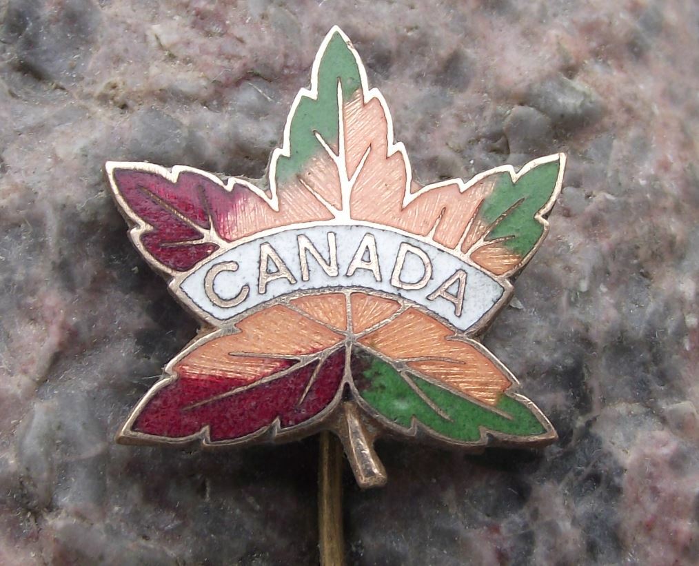 Antique Canada Maple Leaf Fall Colours National Symbol Canadian Flag Pin Badge - Badgecrazy