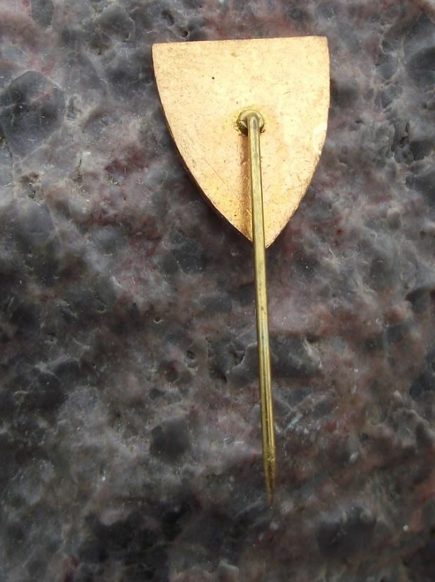 Antique Velhartice Czechoslovakia Coat of Arms Heraldic Crest Pin Badge - Badgecrazy