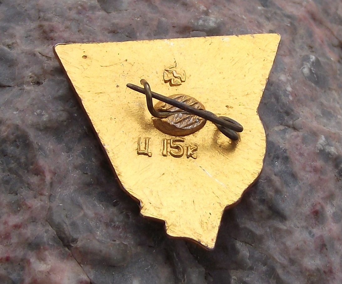Vintage Kiev Ukraine Order of Lenin Outstanding Heroism WW2 Hero City Pin Badge - Badgecrazy