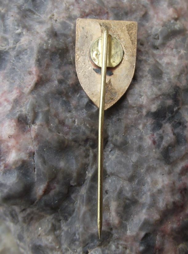 Vintage FCM SR Brasov Romania Soccer Football Club Shield Crest Pin Badge - Badgecrazy