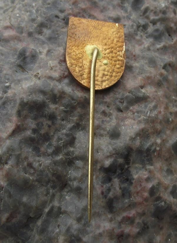 Antique Jenstejn Bohemian Tower Castle Schloss Czech Fairytale Palace Pin Badge - Badgecrazy