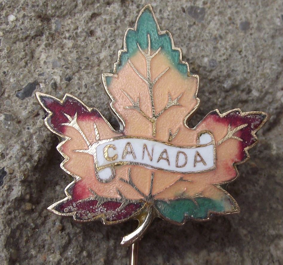 Large Canada Maple Leaf Autumn Colours Fall National Canadian Flag Pin Badge - Badgecrazy