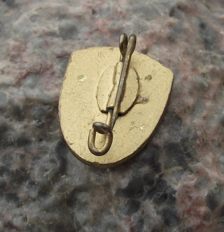 East German DDR GDR Gun Target Marksman Military Shooting Award Pin Badge Gold - Badgecrazy