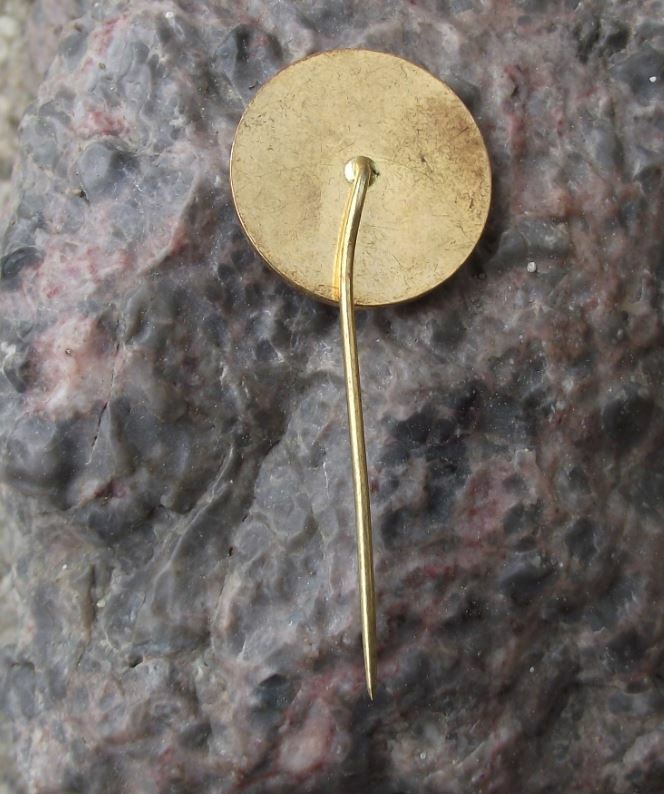 Vintage Union Nationale des Etudiants Marocains UNEM Morrocco Student Pin Badge - Badgecrazy