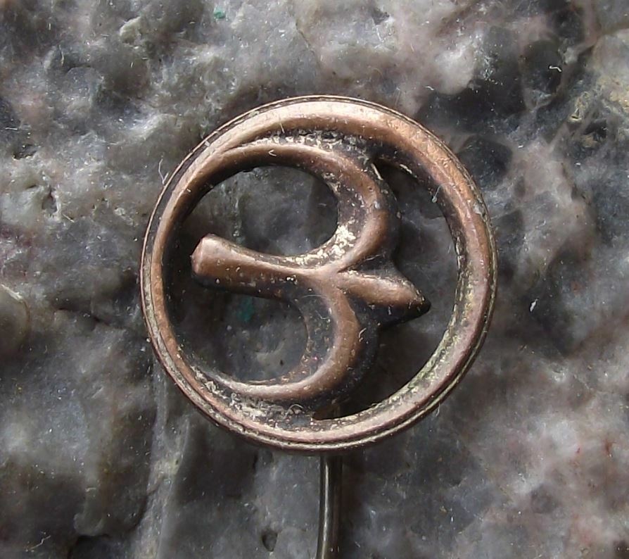 Antique 1940s CSA Swallow Motif Airliner Aircraft Crest Logo Pin Badge
