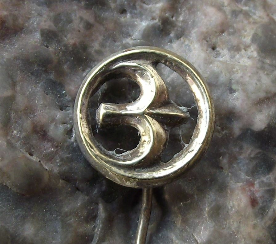 Antique 1940s CSA Swallow Motif Airliner Aircraft Crest Logo Pin Badge