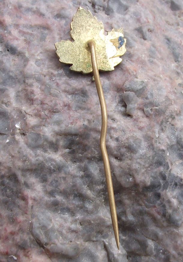 Canada Maple Leaf Fall Colors National Symbol Canadian Autumn Motif Pin Badge - Badgecrazy