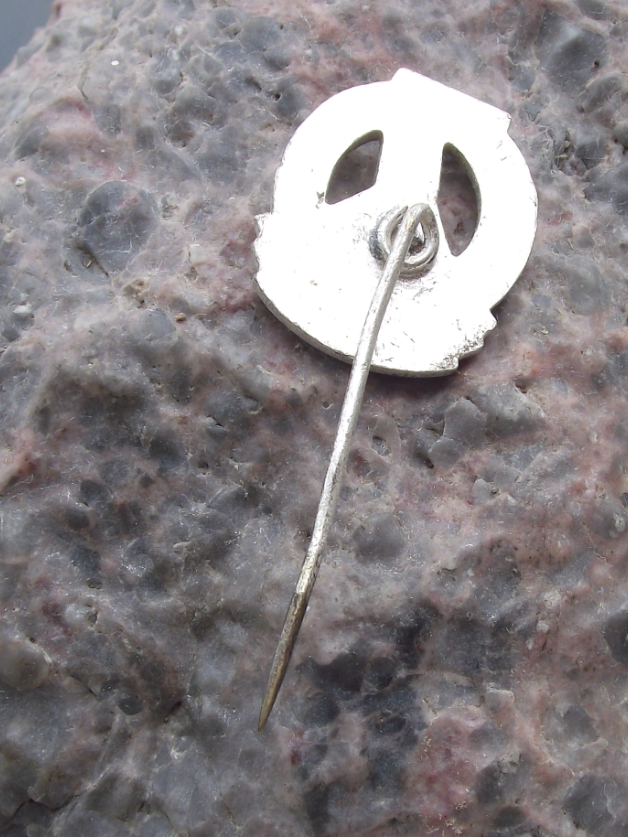 Antique National Front East Germany NAW Nationales Aufbauwerk Compass Pin Badge - Badgecrazy