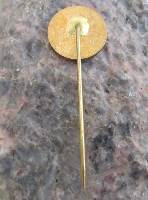 1982 CSPO Czech Fire Fighter Union Fireman Reporyje 100th Anniversary Pin Badge - Badgecrazy