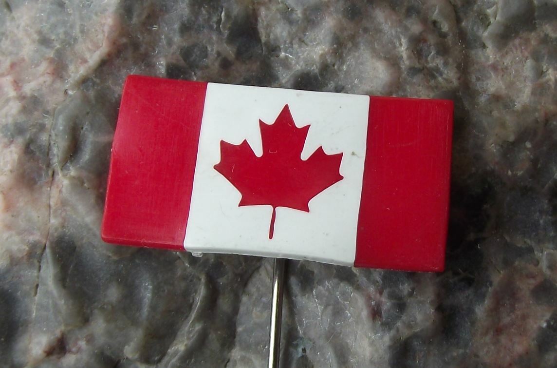 Dominion of Canada Maple Leaf National Canadian Flag Official Plastic Pin Badge - Badgecrazy
