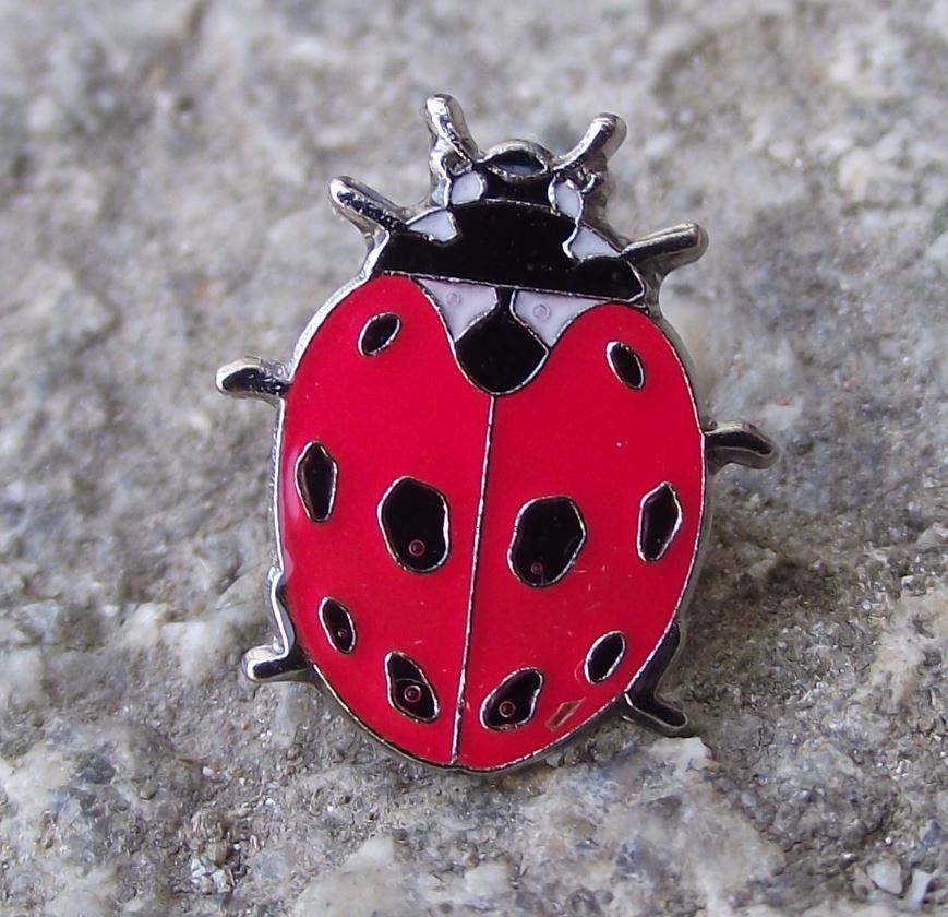 Ladybug Ladybird Coccinellidae Red Beetle Black Spots Brooch Pin Badge - Badgecrazy