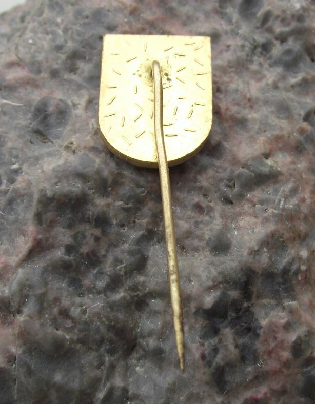 Antique Benesov Czech Town Beneschau Gold Star Heraldic Crest Shield Pin Badge - Badgecrazy