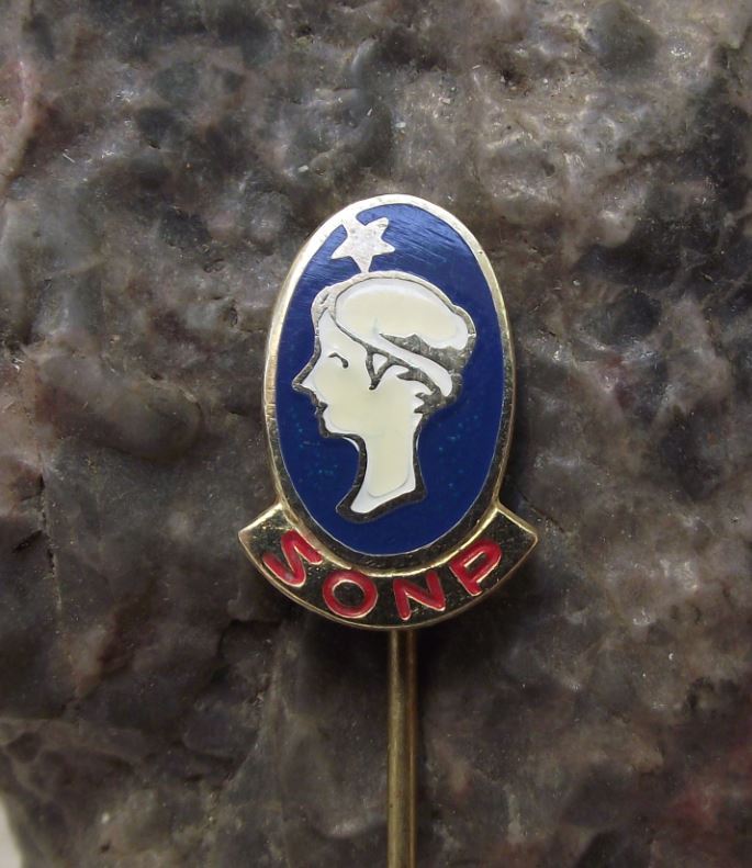 Antique Roman Greek Elegant Woman Lady Goddess Bust Cameo Poldi SONP Pin Badge - Badgecrazy