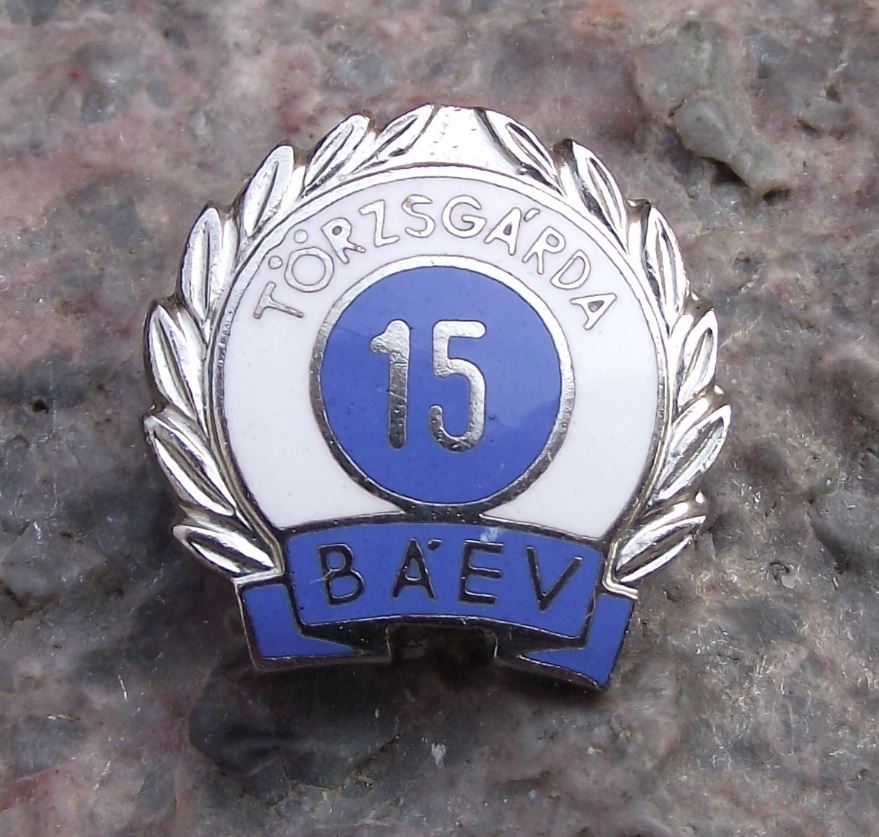 Antique Torzsgarda BAEV 15th Anniversary Laurels Hungary Hungarian Pin Badge - Badgecrazy