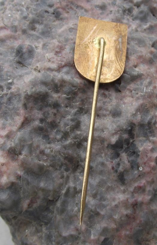 Antique Nachod Heraldic Crest Czech Castle Coat of Arms Tourist Pin Badge - Badgecrazy