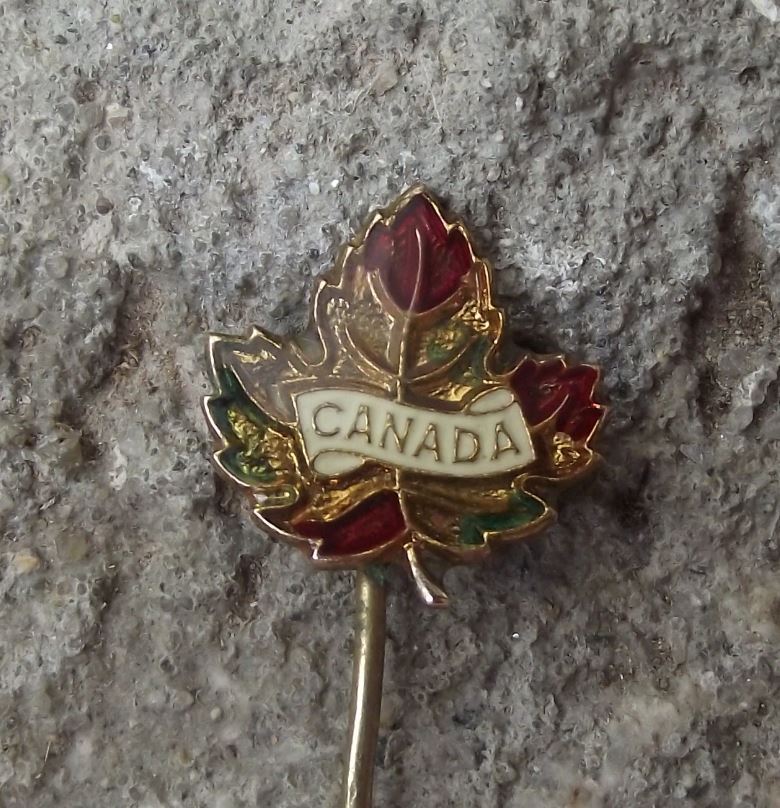 Canada Maple Leaf Autumn Fall Style National Canadian Flag Official Pin Badge - Badgecrazy