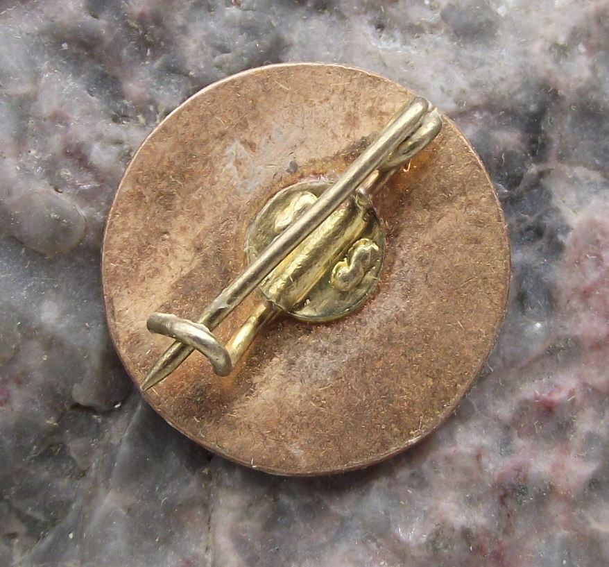 Antique CS Luceafarul Bucharest Romania Romanian Soccer Football Club Pin Badge - Badgecrazy