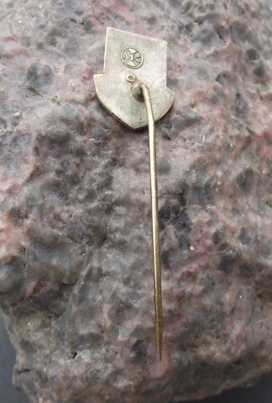 Antique Kyjov Gaya South Moravia Heraldic Crest Czech Coat of Arms Pin Badge - Badgecrazy