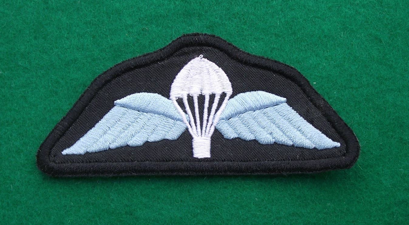 Paratrooper Parachute Airborne Troops Wings Special Forces Army Parachute Patch - Badgecrazy