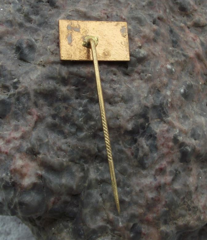 Vintage Zamek Lysice Palace Chateau Moravia Czech Tourist Souvenier Pin Badge