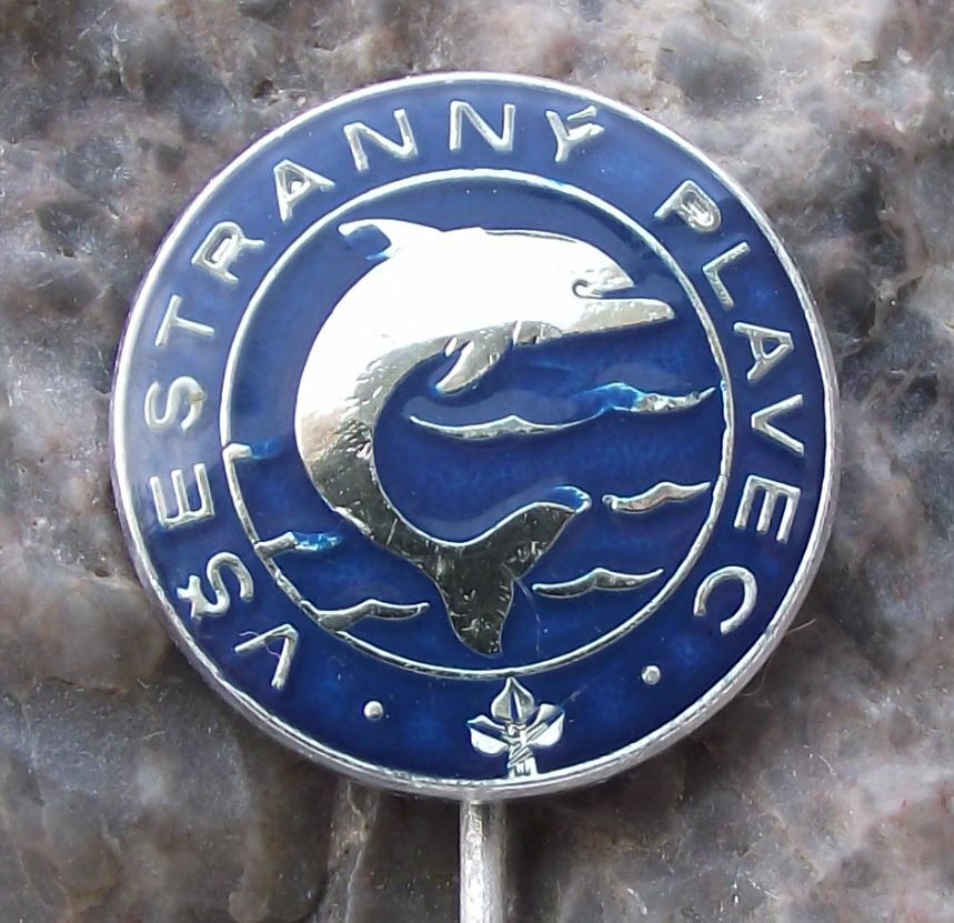 Antique Dolphin Swimming Award All Strokes Swimming Pool Swimmer Youth Pin Badge - Badgecrazy
