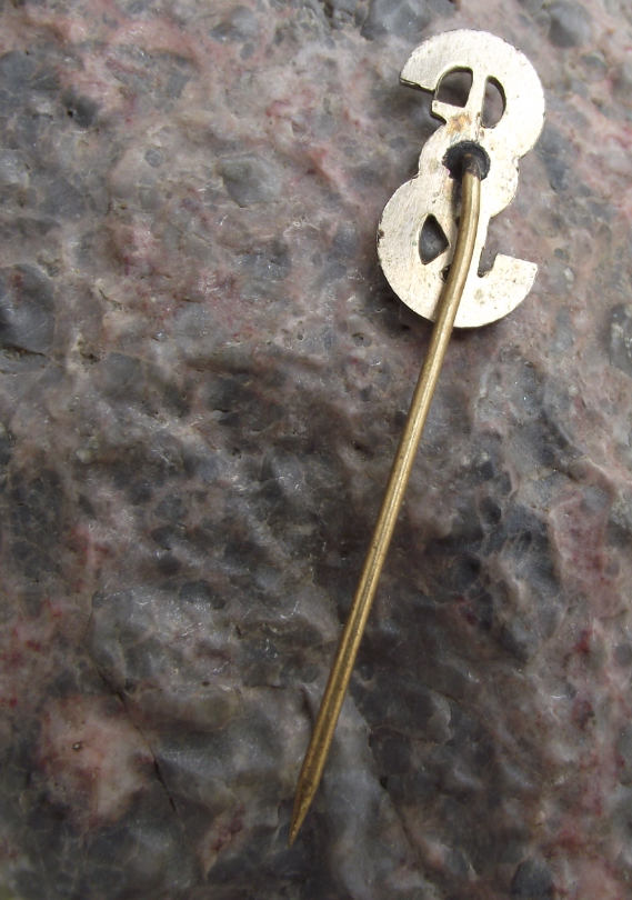 Antique Sokol Sports Association Organisation of Czechoslovakia Logo Pin Badge - Badgecrazy