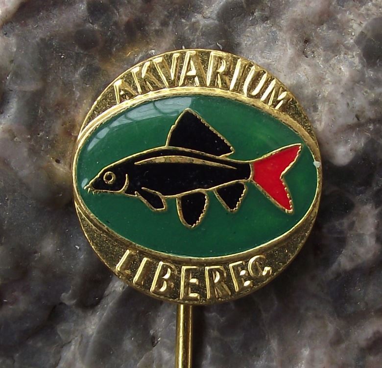Labeo bicolor Shark Aquarium Tropical Fish Club Liberec Czechoslovakia Pin Badge - Badgecrazy