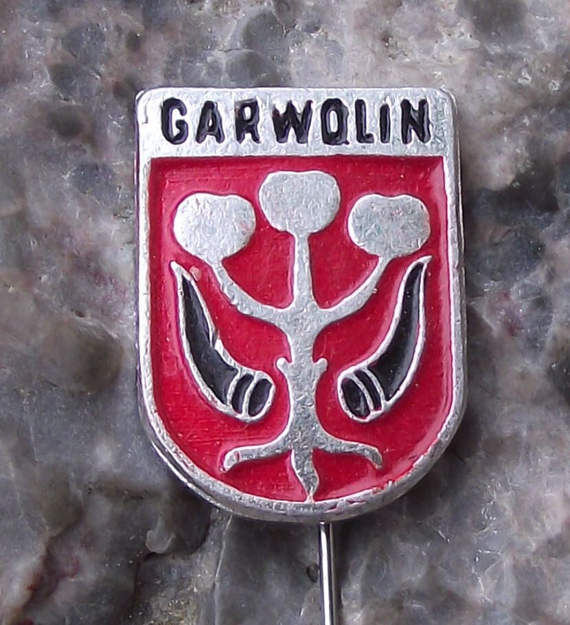 Vintage Garwolin Polish City Poland Heraldic Crest Coat of Arms Pin Badge - Badgecrazy