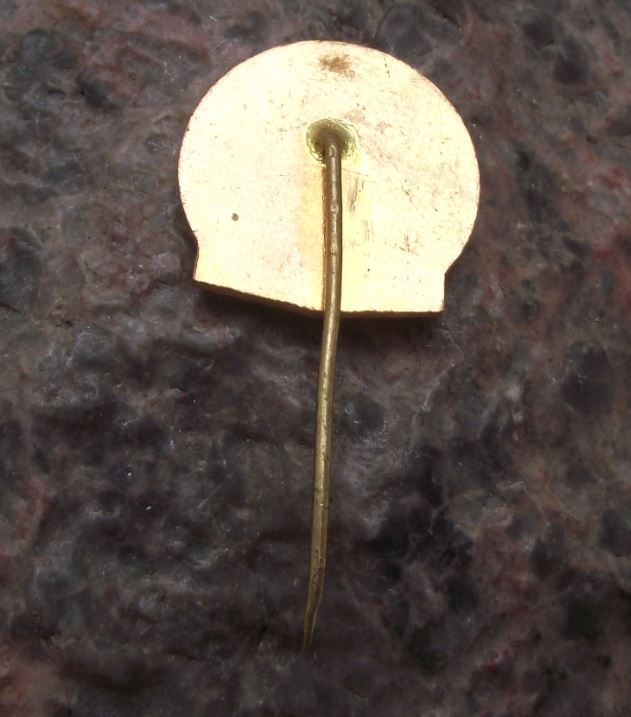 Czech Army Military Armed Forces Technical High School VVTS CSSP Radar Pin Badge - Badgecrazy