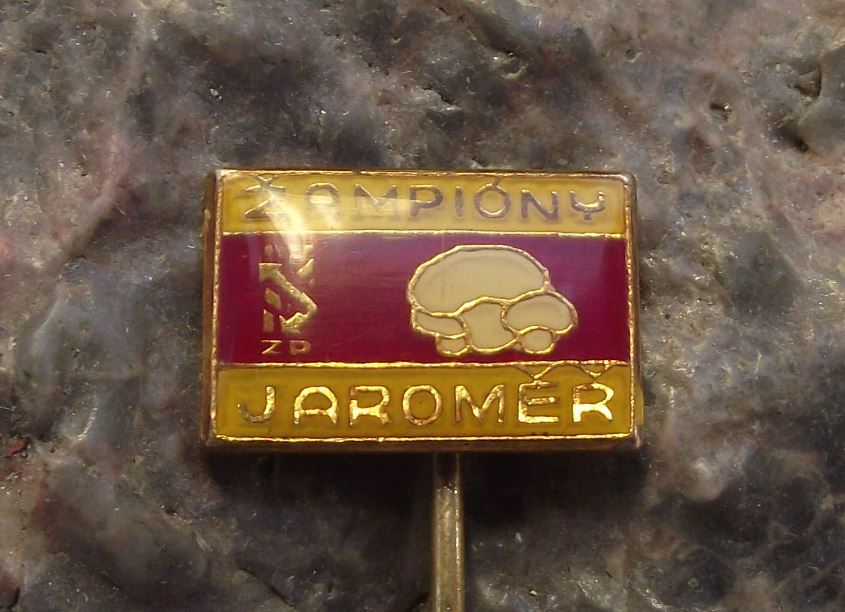 Champignon Mushroom Farming Jaromer Farm Czechoslovakia Mycologist Pin Badge - Badgecrazy