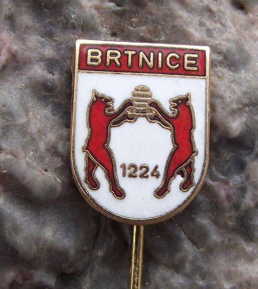 Antique Brtnice Czechoslovakia Official Coat of Arms Heraldic Crest Pin Badge - Badgecrazy