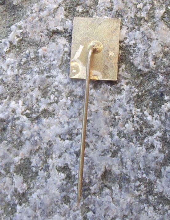 Vimperk Castle Keep & Dog Guarding Portcullis Czech Heraldic Shield Pin Badge - Badgecrazy