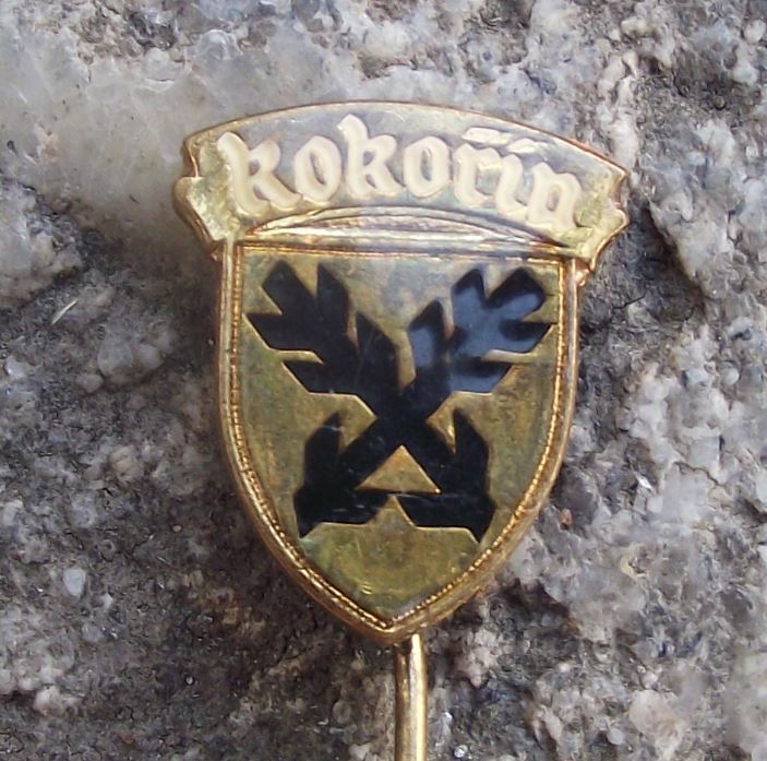 Kokorin Czechoslovakia Town Heraldic Crest Official Coat Arms Shield Pin Badge - Badgecrazy