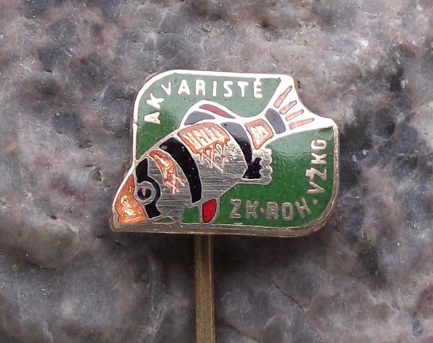 Vintage Clown Loach Aquarist Fish Tropical Aquarium Club Pin Badge - Badgecrazy