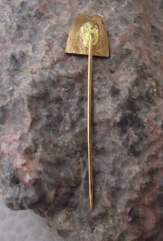 Piestany Broken Walking Stick Crutch Health Spa Fountain Healing Spa Pin Badge - Badgecrazy