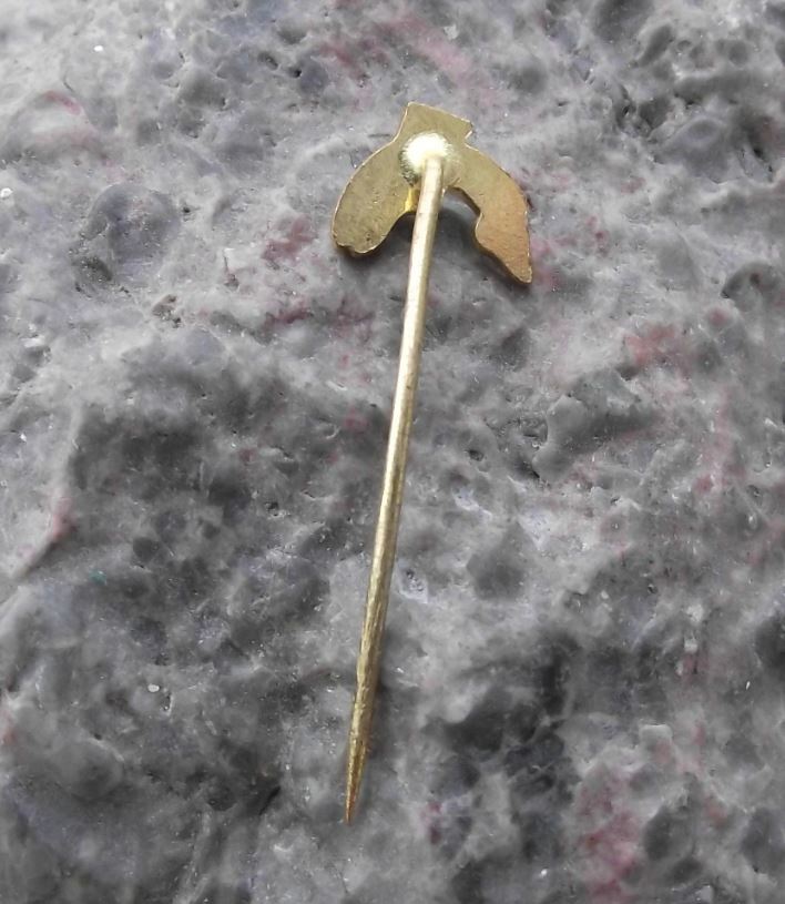 Antique Brown Spotted Trout Fishing Angling Association River Fish Pin Badge - Badgecrazy