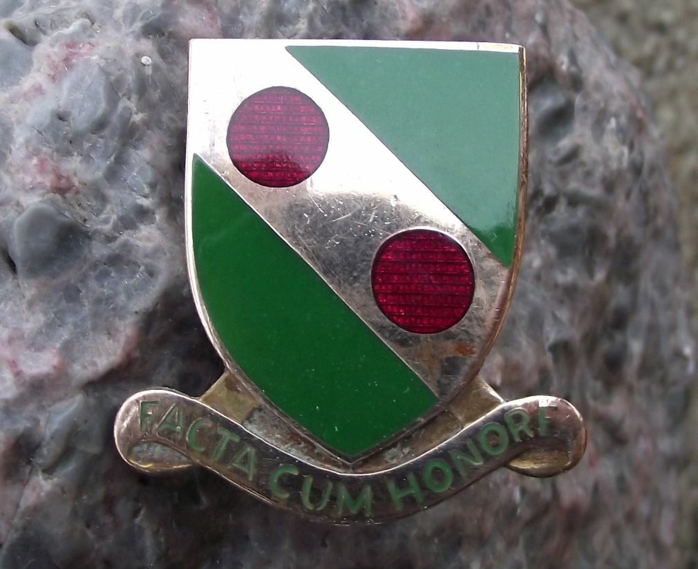 Vintage US Army 793rd Military Police Battalion DUI Clutchback Pin Badge - Badgecrazy