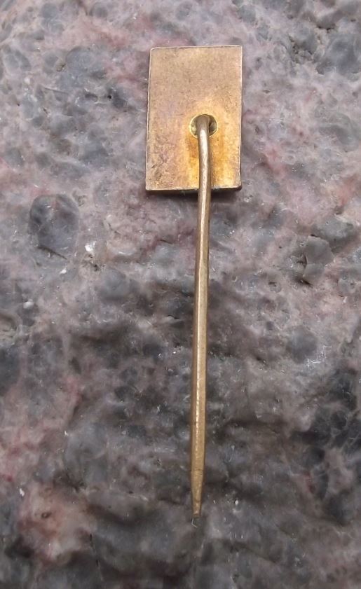 Antique Krusne Hory Czech Ore Mountains Snowflake Sun Motif Tourist Pin Badge - Badgecrazy