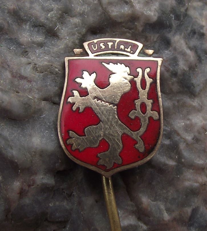 Antique Usti nad Labem Lion Helmet Heraldic Crest Coat of Arms Pin Badge - Badgecrazy