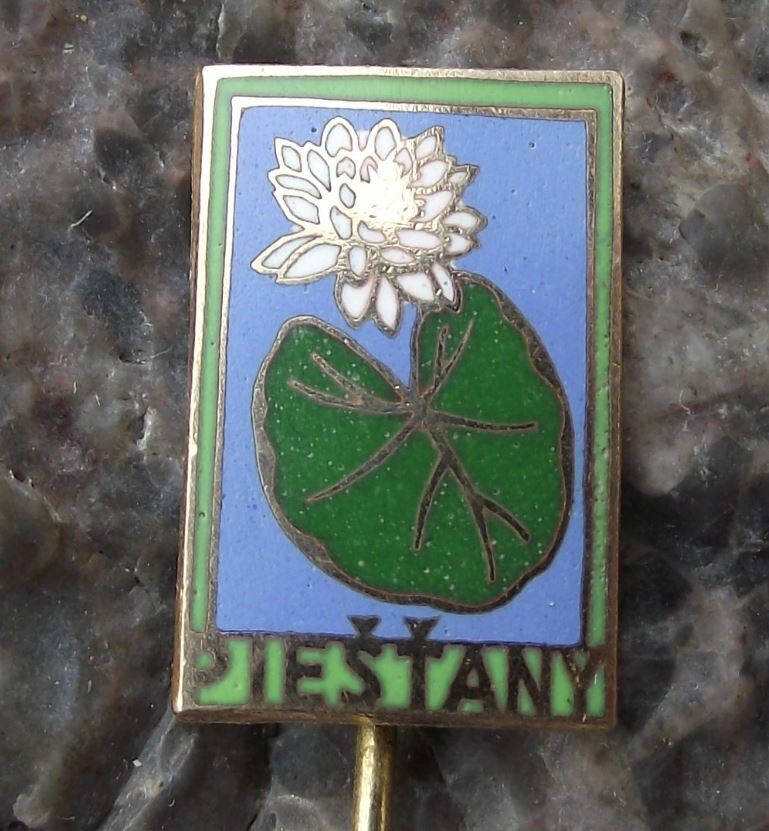 Vintage Piestany Water Lily Flower Czechoslovakia Tourist Souvenier Pin Badge - Badgecrazy