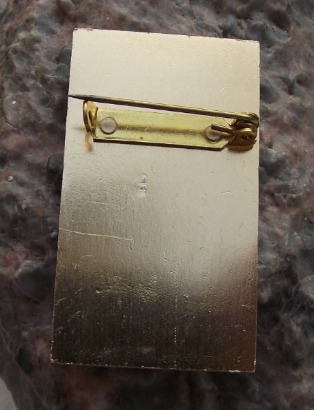 1985 Petrin Prague Funicular Cliff Cable Railway Lanovka Grand Opening Pin Badge - Badgecrazy