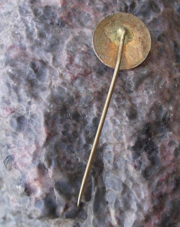 Antique Spindleruv Mlyn Krkonose Mountain Czech Ski Resort Pine Trees Pin Badge - Badgecrazy