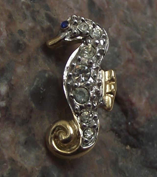 Beautiful Encrusted Clear Stone Jewellery Seahorse Sea Horse Brooch Pin Badge - Badgecrazy