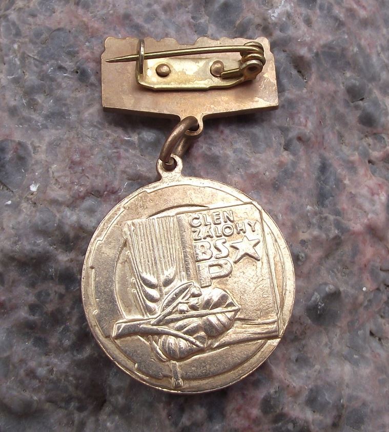 Antique Youth Socialist Workers Brigade BSP Czechoslovakia Gold Medal Award - Badgecrazy